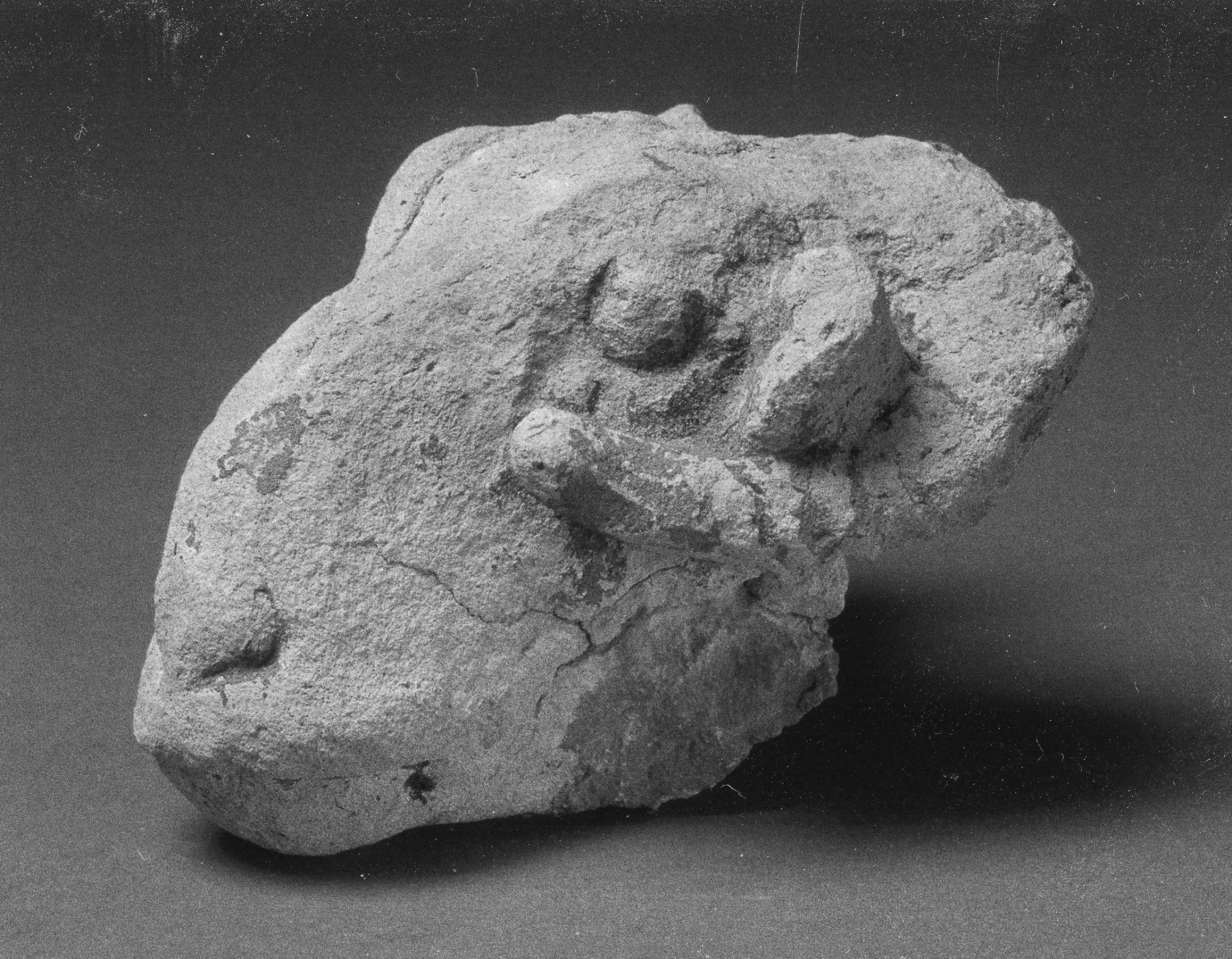Carved Rams Head